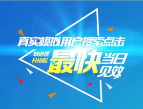 蜂鳥(niǎo)搜索營(yíng)銷(xiāo)系統(tǒng) 賦能上海企業(yè)高效網(wǎng)絡(luò)推廣的專(zhuān)業(yè)外包服務(wù)