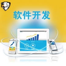 一品威客網(wǎng)軟件外包服務(wù)報(bào)價(jià)與收費(fèi)解析 專(zhuān)業(yè)、透明、高性價(jià)比的開(kāi)發(fā)選擇